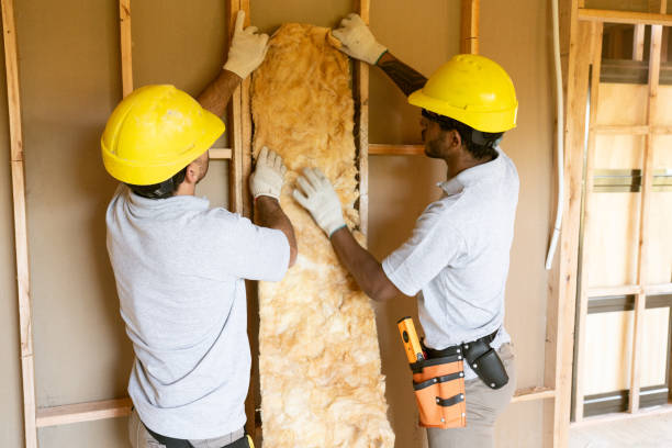 Insulation for New Construction in Casa De Oro Mount Helix, CA